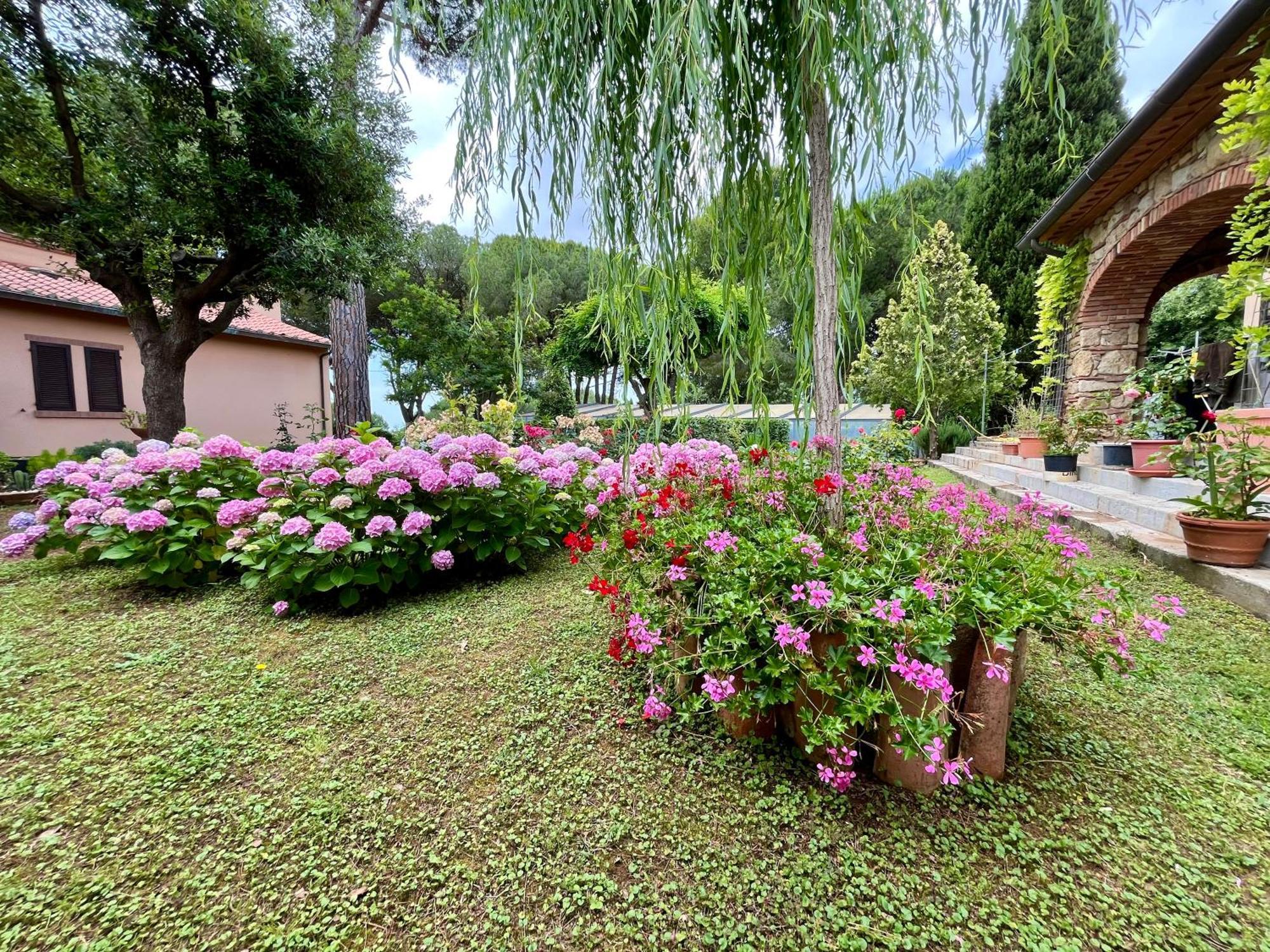La Rosa Dei Venti 'scirocco' *